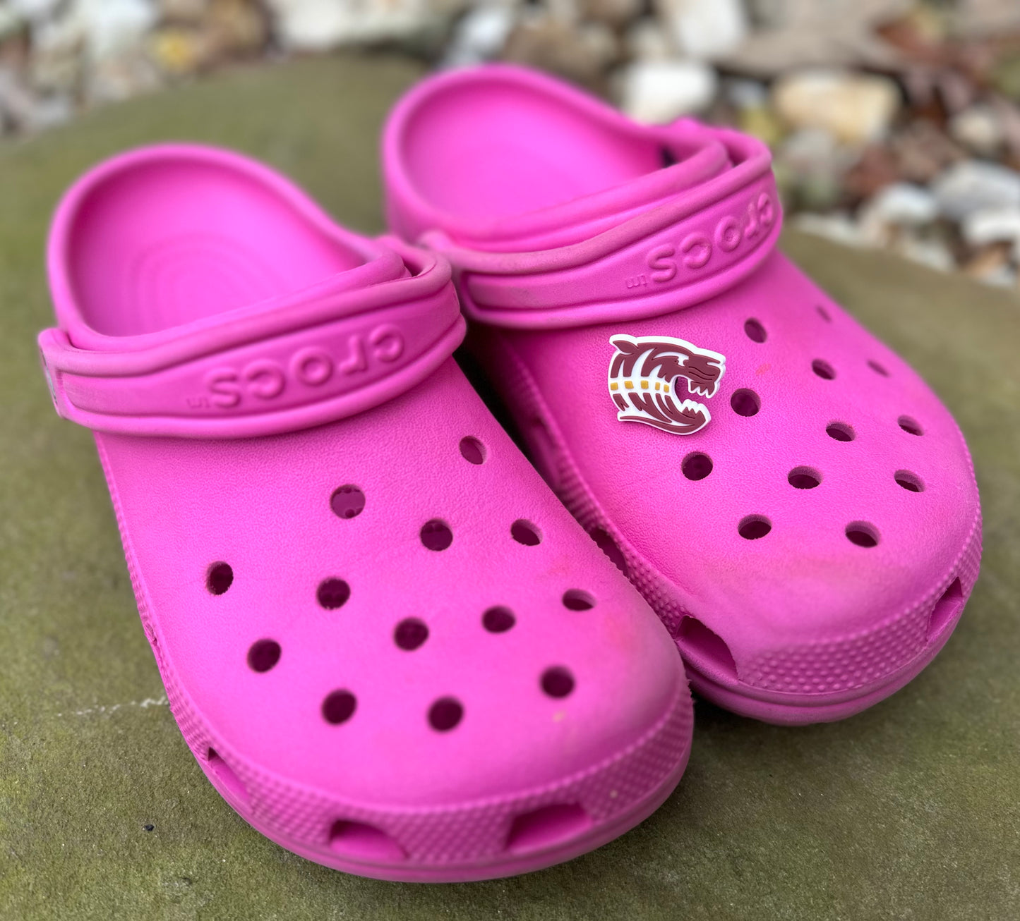 Dawson County Tigers Jibbit