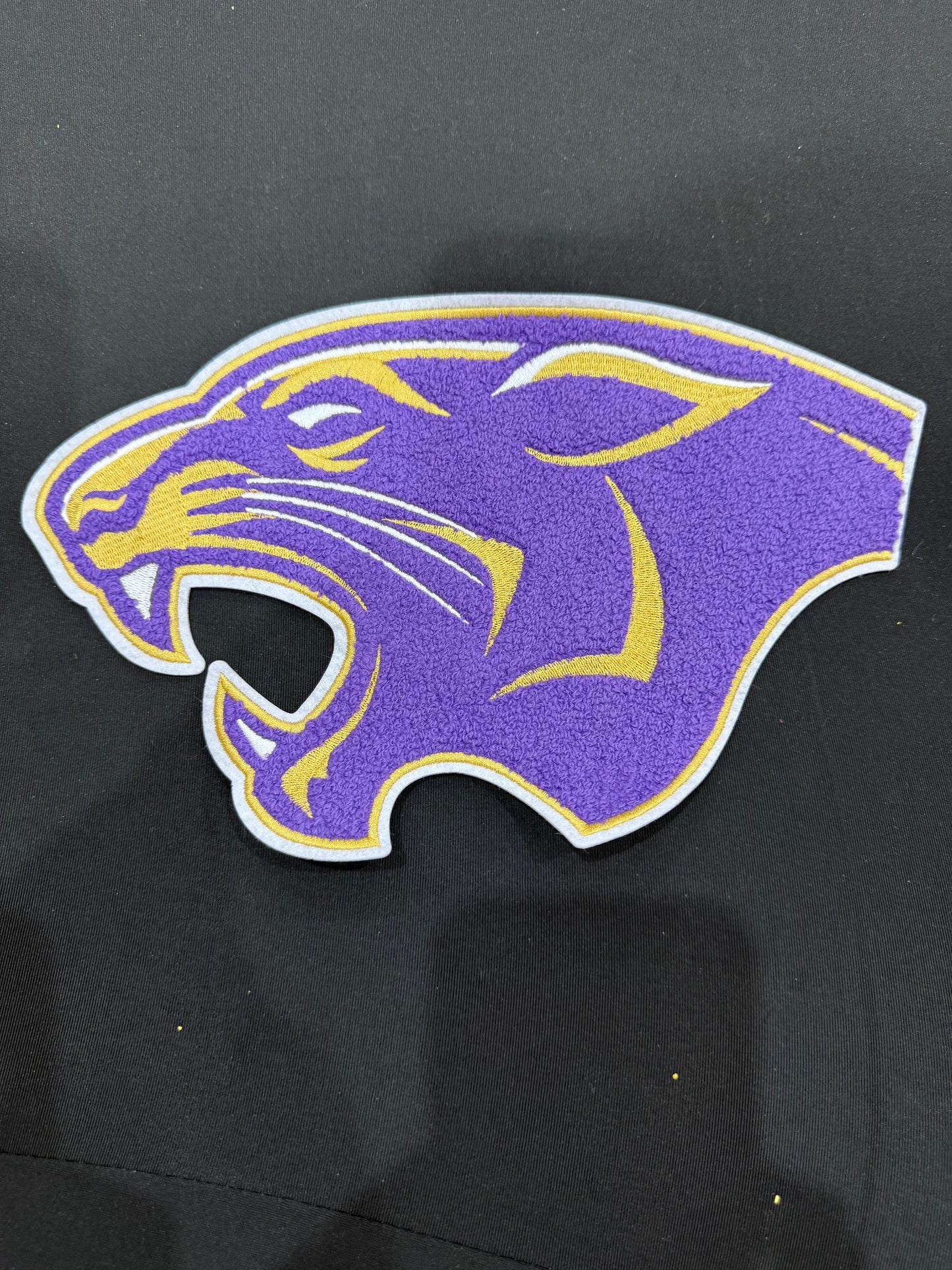 Union County Panthers Chenille Patch Sweatshirt