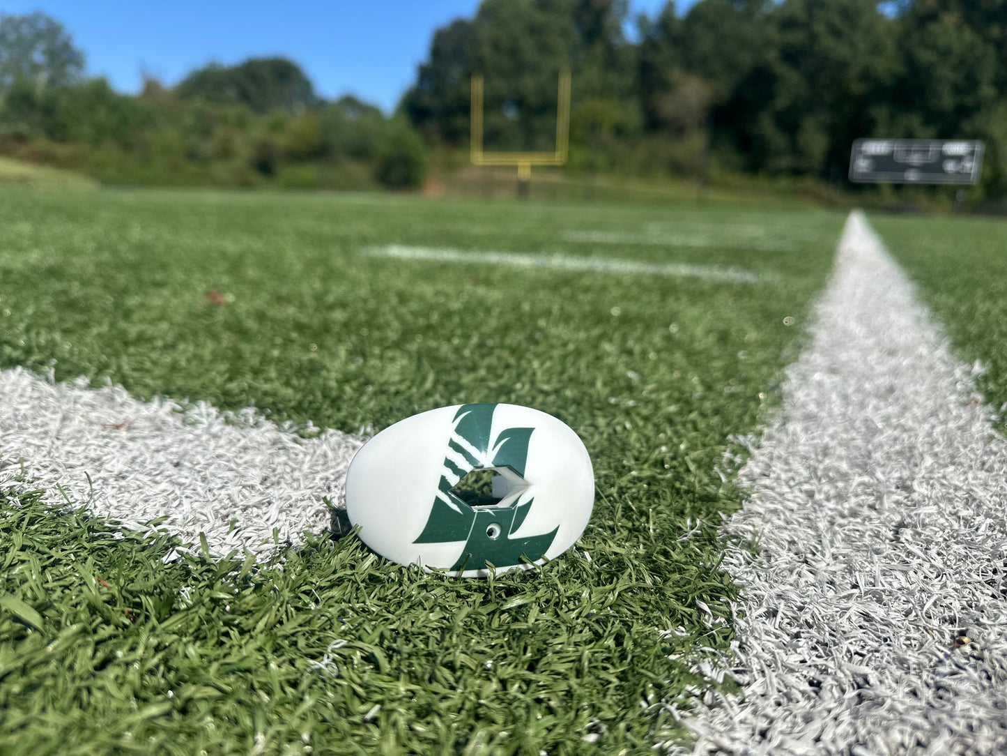 Lanier Lions Mouthguard - LL